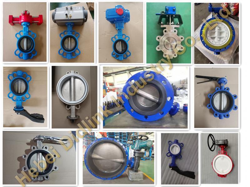 Butterfly Valve Wafer Type vs Lug Type